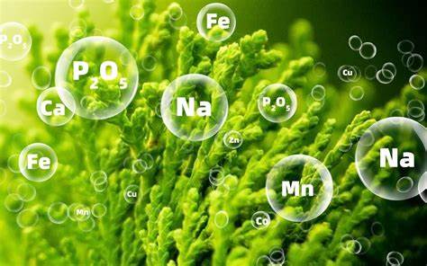 微量元素肥料检测