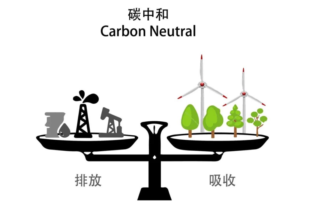 碳中和检测